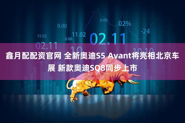 鑫月配配资官网 全新奥迪S5 Avant将亮相北京车展 新款奥迪SQ8同步上市