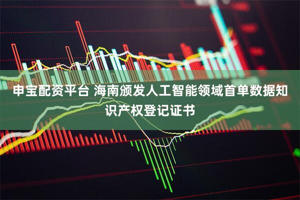 申宝配资平台 海南颁发人工智能领域首单数据知识产权登记证书