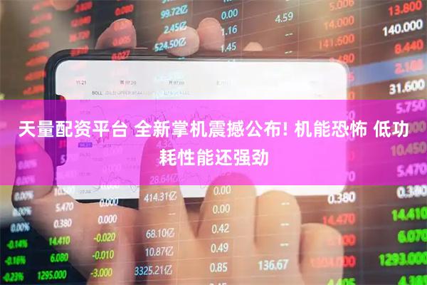 天量配资平台 全新掌机震撼公布! 机能恐怖 低功耗性能还强劲
